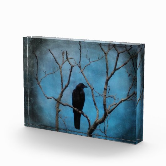 Blue Twilight Crow Fotoblock (Rechts)