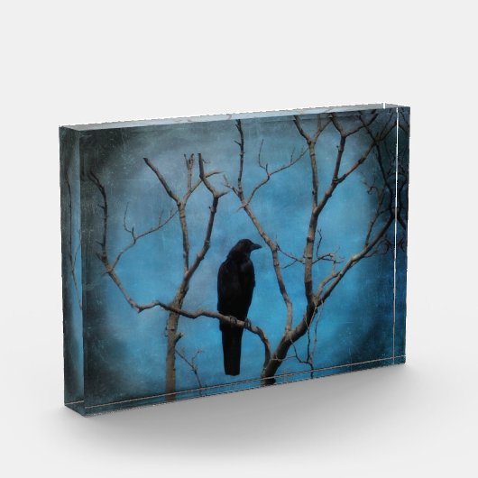 Blue Twilight Crow Fotoblock (Links)