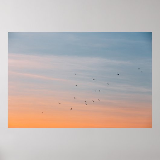 BLUE- UND ORANGE-SKIEN-FLOCK POSTER (Vorne)