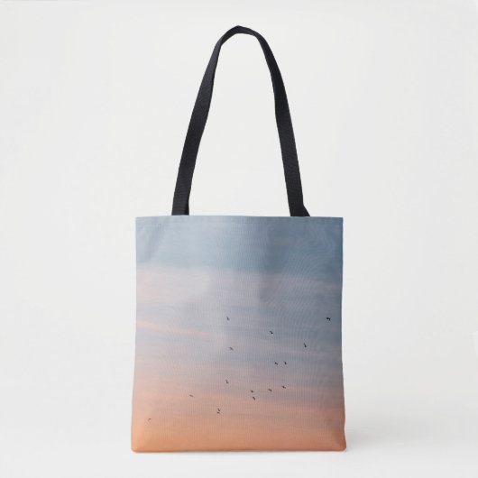 BLUE- UND ORANGE-SKIEN-FLOCK TASCHE (Vorderseite)