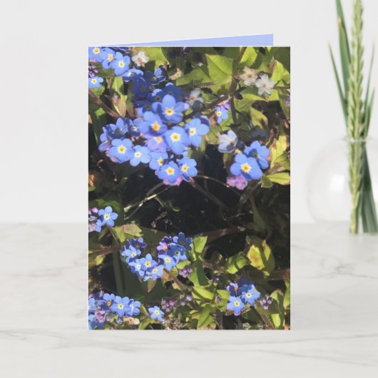 Blue Vergessen-Me-Not-Blume Karte (Vorderseite)