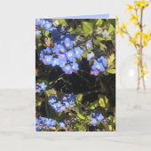 Blue Vergessen-Me-Not-Blume Karte (Gelbe Blume)