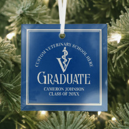 Blue Veterinary School Abschluss Weihnachten Ornament Aus Glas