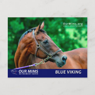 Blue Viking Postcard Postkarte