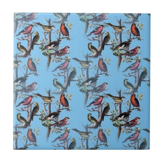 Blue Vintag Art Birds Muster Accessoires LeahG Fliese (Vorderseite)