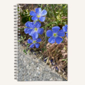 Blue Violet Blume Journal Notizblock (Vorderseite)