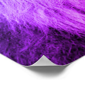 Blue Violet Lion - Tierfotografie Art Poster (Ecke)