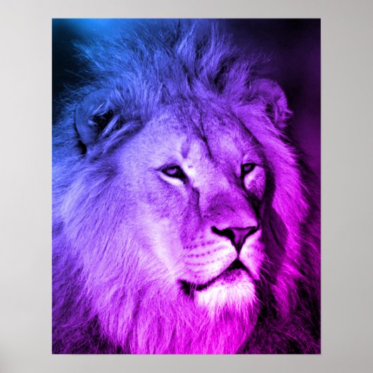 Blue Violet Lion - Tierfotografie Art Poster (Vorne)