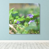 Blue Violets Blume Botanische Blumenfotografie Leinwanddruck (Insitu (Holzboden))