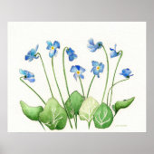 Blue Violets Poster Print (Vorne)