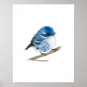 Blue Warbler Bird Print Poster (Vorne)