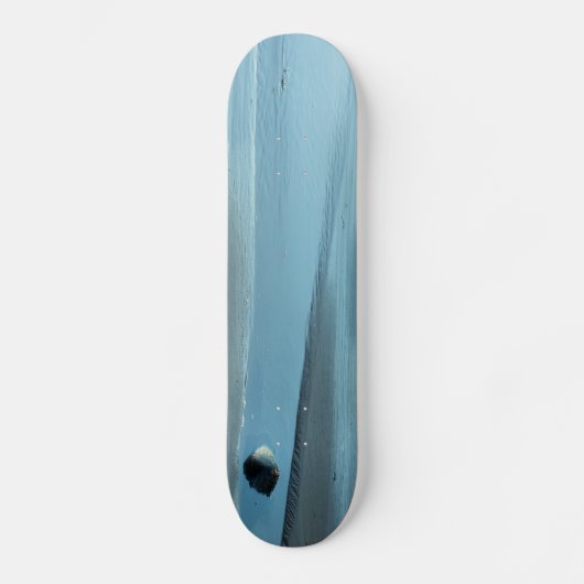 BLUE WASSER SKATEBOARD (Vorderseite)
