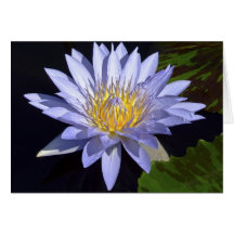 Blue Water Lily Card