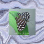 Blue Wave Butterfly auf dem Leaf Foto Fliese