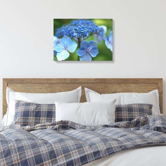 Blue Wave Lacecap Hydrangea Leinwanddruck (Insitu (Schlafzimmer))