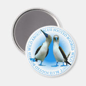Blue Webbed Foot Birds Galapagos Islands Souvenir Magnet (Vorderseite/Rückseite)