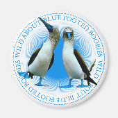 Blue Webbed Foot Birds Galapagos Islands Souvenir Magnet (Vorne)