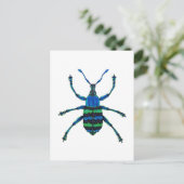 Blue Weevil Postkarte (Stehend Vorderseite)