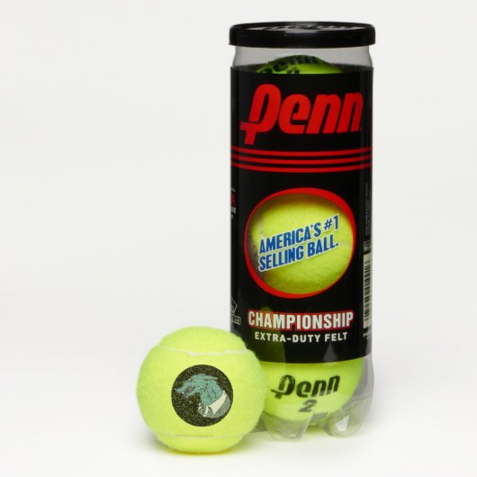 Blue Werewolf Black Penn Tennis Bälle (Box)