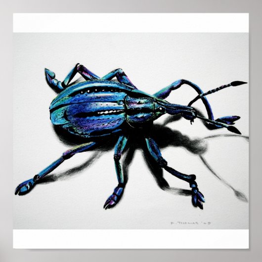 Blue Wevil Print Poster (Vorne)
