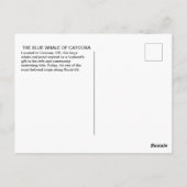 Blue Whale of Catoosa on Route 66 Postcard Postkarte (Rückseite)