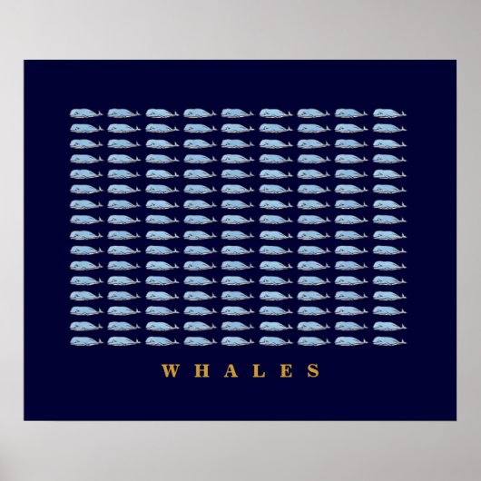 Blue Whales Decr Walls Poster (Vorne)