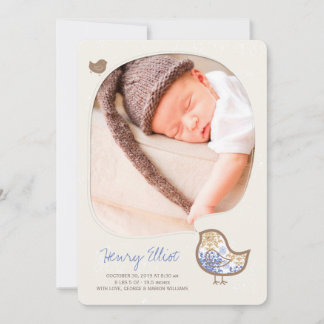 Blue Whimsical Chick Baby Boy Geburtserklärung Ankündigung