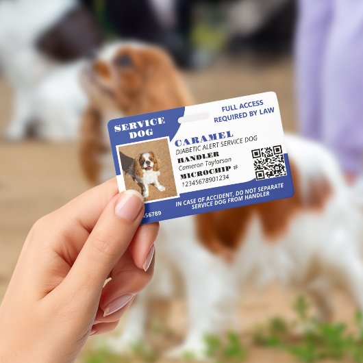 Blue White Service Hund Foto ID QR Code Ausweis