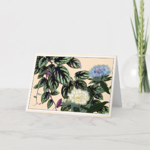 Blue & White Stokes Aster Botanical Art Card Dankeskarte