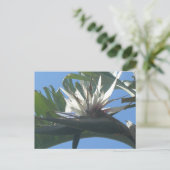Blue White Strelitzia Blume DIY Postcard Postkarte (Stehend Vorderseite)