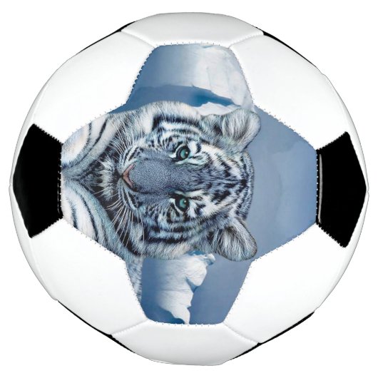 Blue White Tiger Fußball (Gedreht)