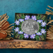 Blue Wild Chicory Blume Ihr Foto hinzufügen Fotoplatte (Seite)