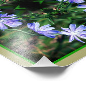 Blue Wild Chicory Blume Mirror Abstrakt 8x10 Fotodruck (Ecke)