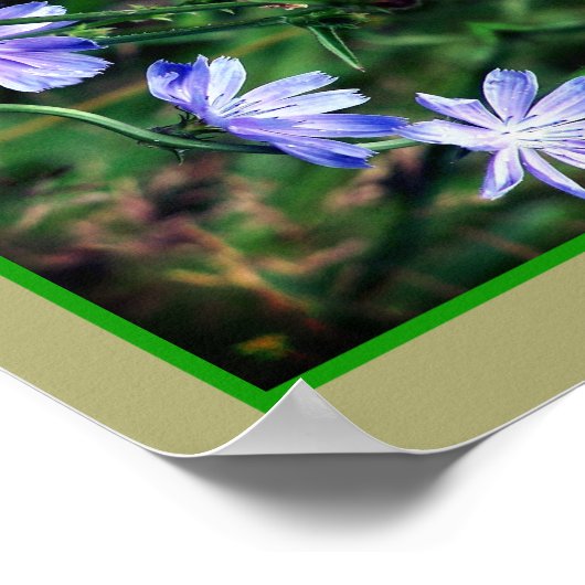 Blue Wild Chicory Blume Mirror Abstrakt Poster (Ecke)