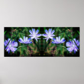Blue Wild Chicory Blume Mirror Abstrakt Poster (Vorne)