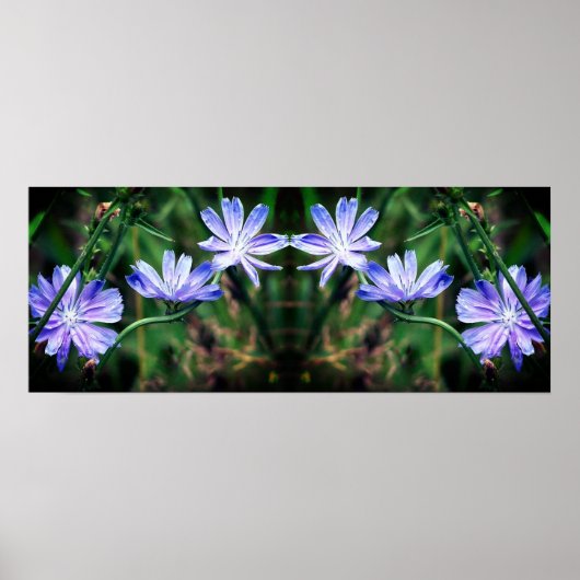 Blue Wild Chicory Blume Mirror Abstrakt Poster (Vorne)