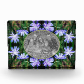 Blue Wild Chicory Blume Rahmen hinzufügen Fotoblock (Vorderseite)