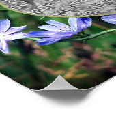 Blue Wild Chicory Blume Rahmen hinzufügen Ihr eige Poster (Ecke)