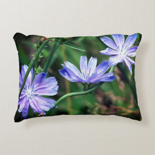 Blue Wild Chicory Blume Trio Dekokissen
