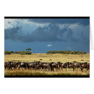 Blue Wildebeest (GNU) Masai Mara Kenya Karte