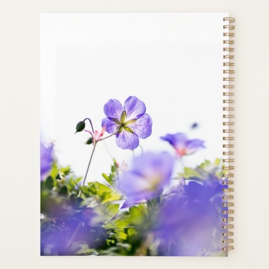 Blue Wildflower Dreams Planner Planer (Rückseite)