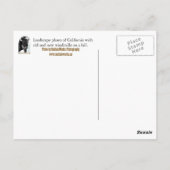 Blue Wind Postcard Postkarte (Rückseite)