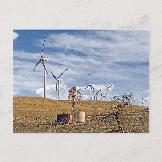 Blue Wind Postcard Postkarte (Vorderseite)