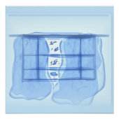 Blue window. poster (Vorderseite)