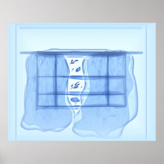 Blue window. poster