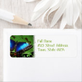 Blue Wing Butterfly Mailing Labels (Insitu)