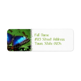 Blue Wing Butterfly Mailing Labels