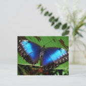 Blue Wing Butterfly Postcard Postkarte (Stehend Vorderseite)