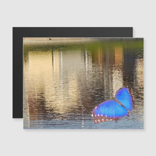 Blue Wing Reflection Magneteinladung (Vorne/Hinten)