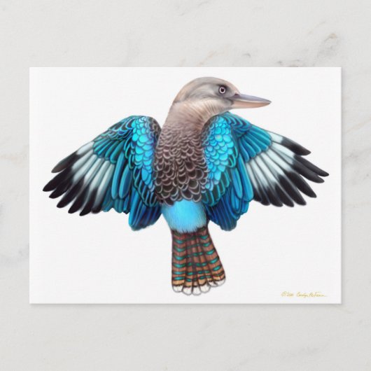Blue Winged Kookaburra Postcard Postkarte (Vorderseite)